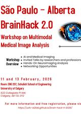 Brain Hack Advertisement