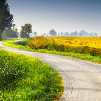 Trees, river, field and road