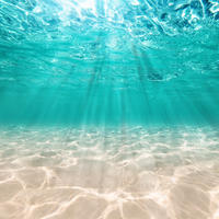 Seabed, sea