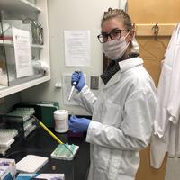 BIM II undergrad research