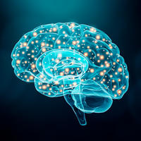 Image of brain activity