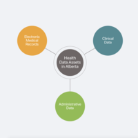 Interactive Dashboard