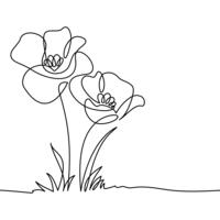 Two daffodils sketched pencil