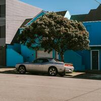 Car parked under a tree on street.