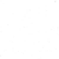 Blank Profile Picture