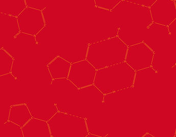 Quick facts header