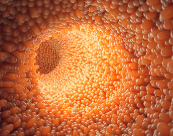 Intestinal failure