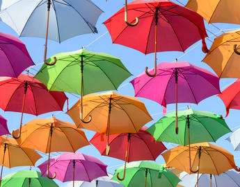 Equity and Diversity