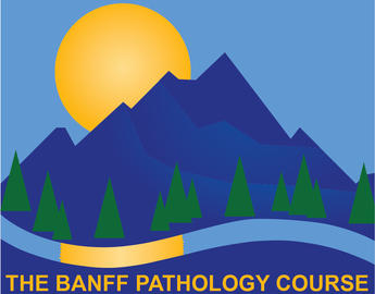 Banff Pathology Course link