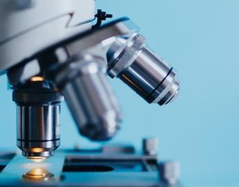 See our research