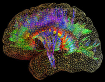 Division of Image Science