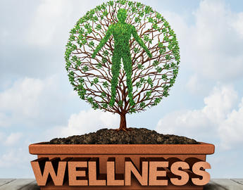 Wellness Resources
