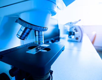 Microscope close up