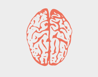 Brain image