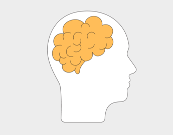 Brain image