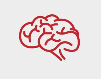 Brain image