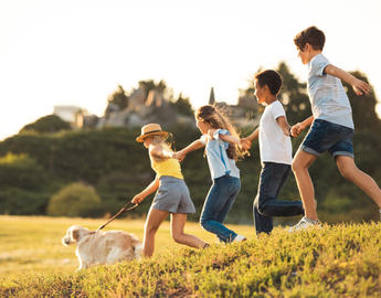 Children and dog running own a hill