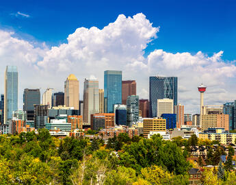 Mental Health Services