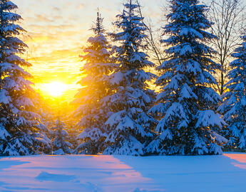 Parenting in Residency