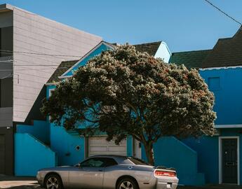 Car parked under tree on street