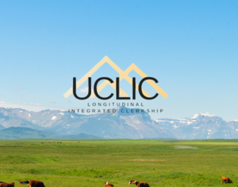 UCLIC banner