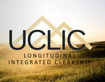 UCLIC 2024 logo