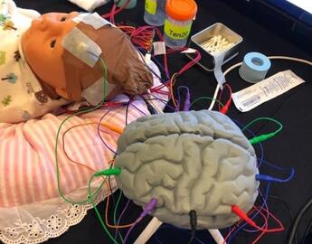 Neonatal Neuro-Critical Care Module 6