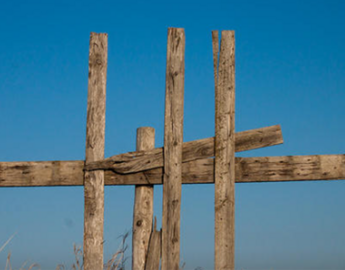 Wooden sticks nailed together in the middle of a wheat field