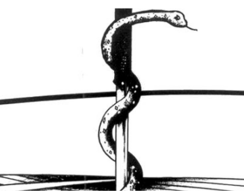 SRPC Logo emblem - a snake slithering up a pole