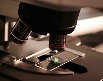 Microscope 