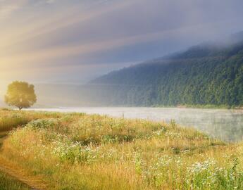 Royal College Resources